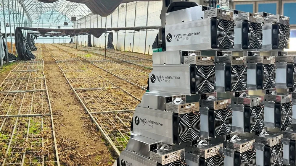 la-agricultura-se-une-a-bitcoin-electricity-mining-de-infinity-hash